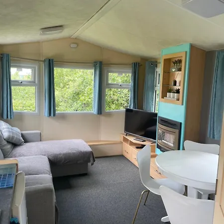95 Newquay Bay Dog Friendly New Quay